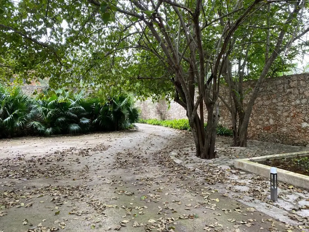 Exclusiva Hacienda en venta cerca de Cabo Norte — foto 6