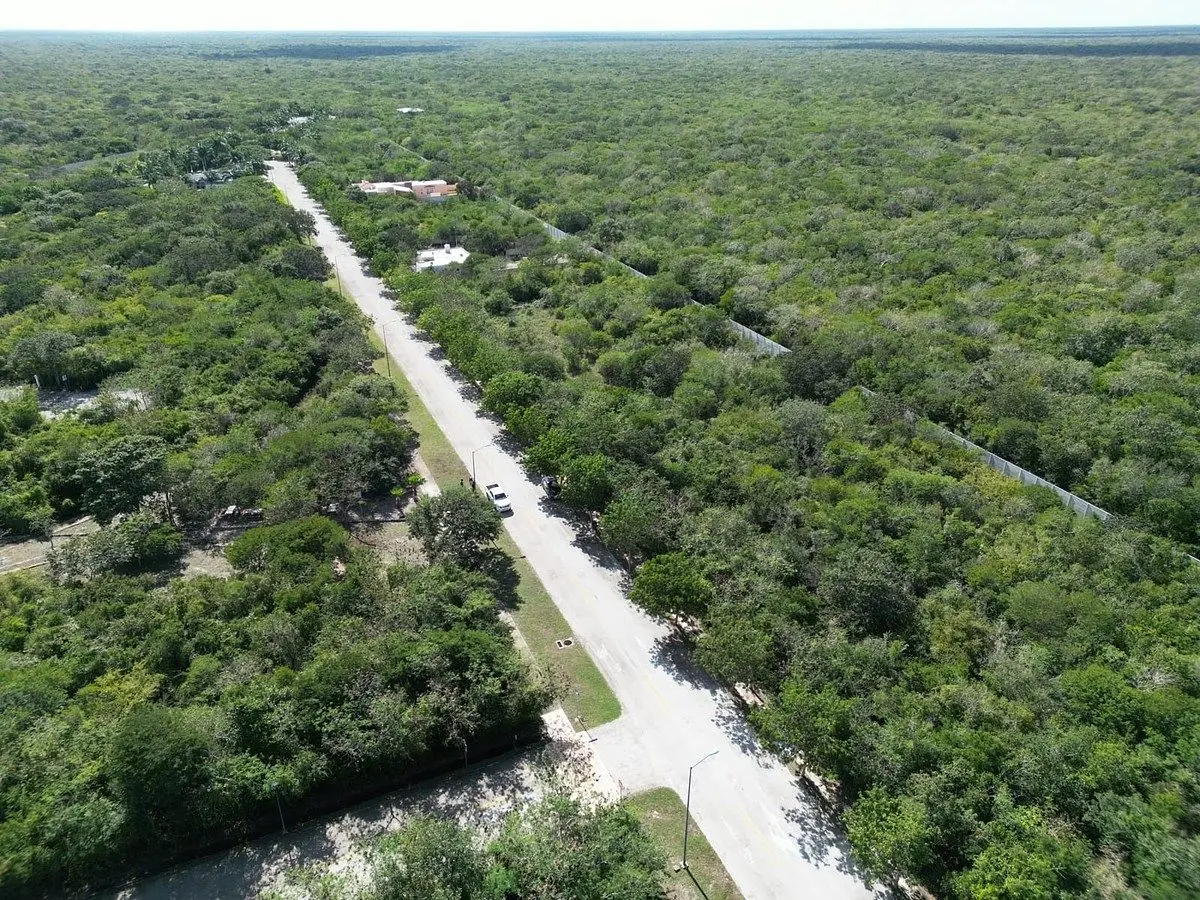 Residencial Phula Venta Lote residencial mil m2 — foto 4