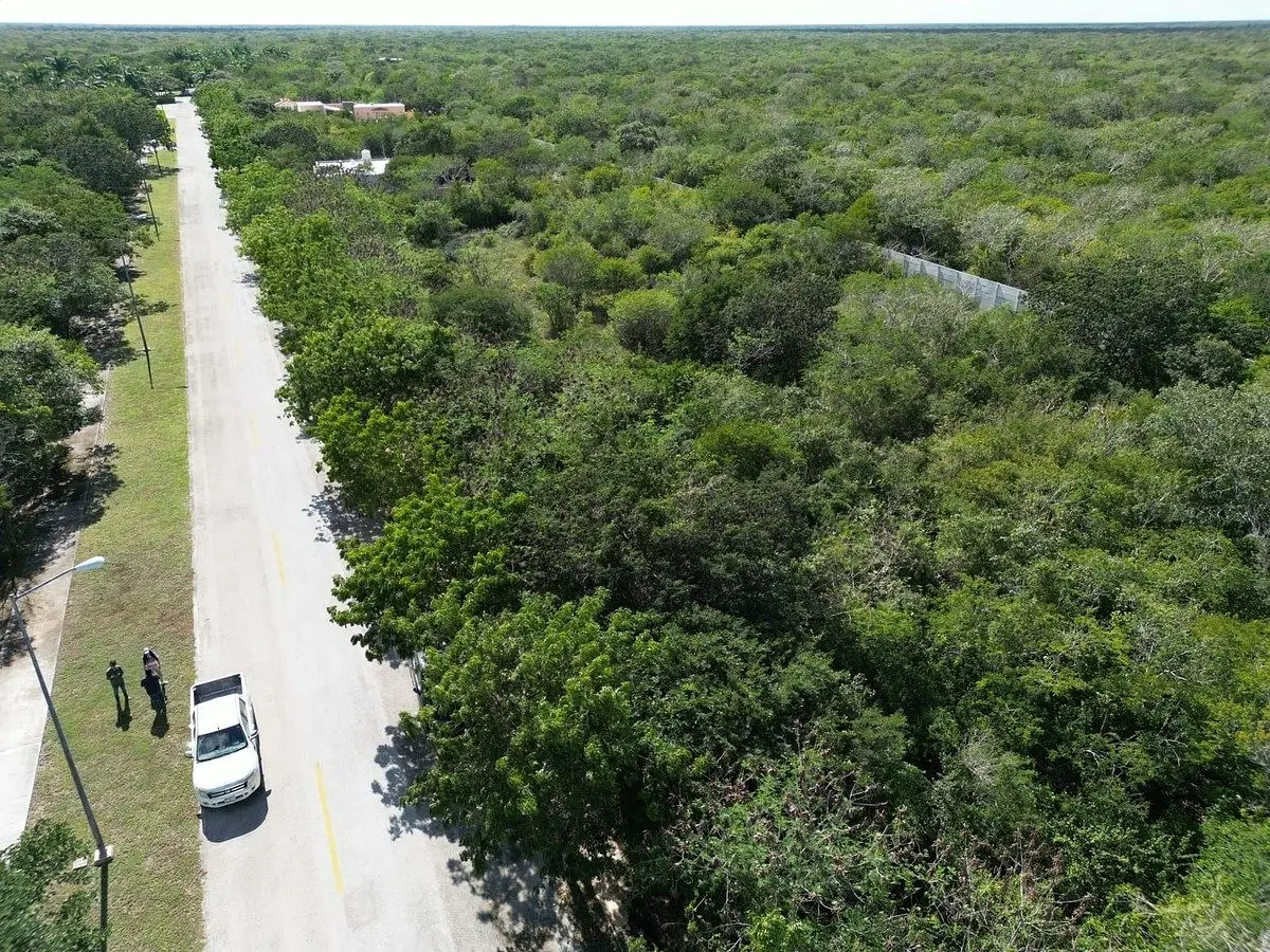 Residencial Phula Venta Lote residencial mil m2 — foto 5