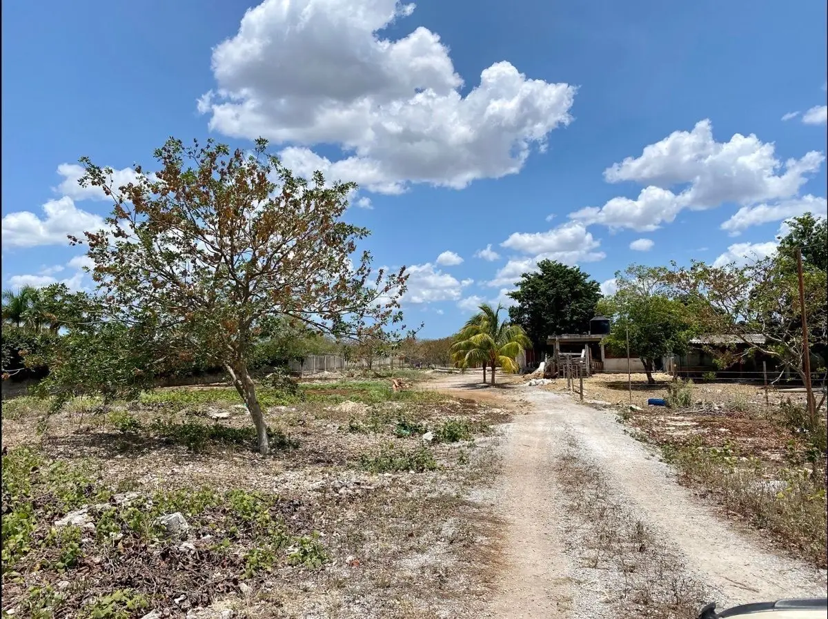 Terreno con 80 metros sobre carretera Chablekal-Conkal — foto 5
