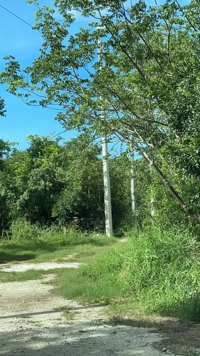 Terreno en Xcunya al norte de Mérida, Yucatán. — foto 4