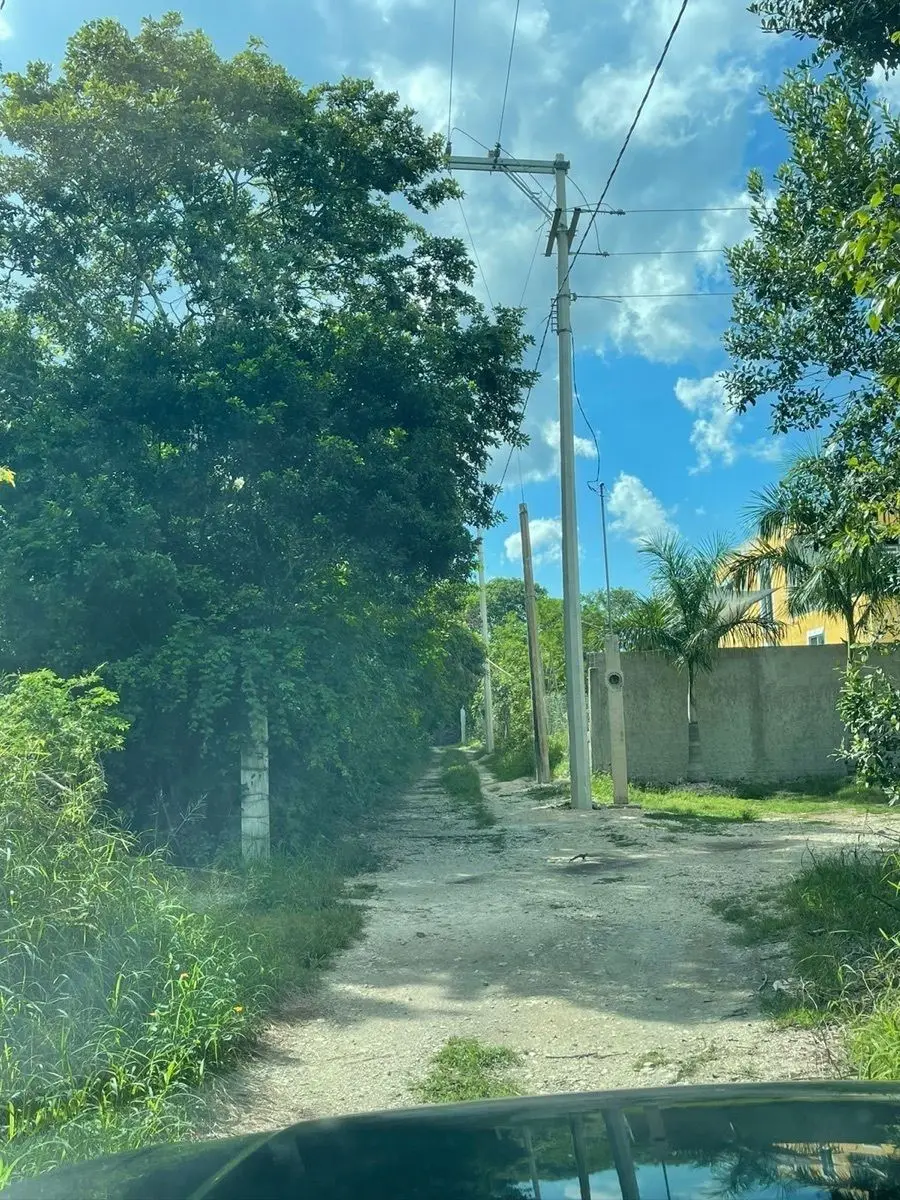 Terreno en Xcunya al norte de Mérida, Yucatán. — foto 5