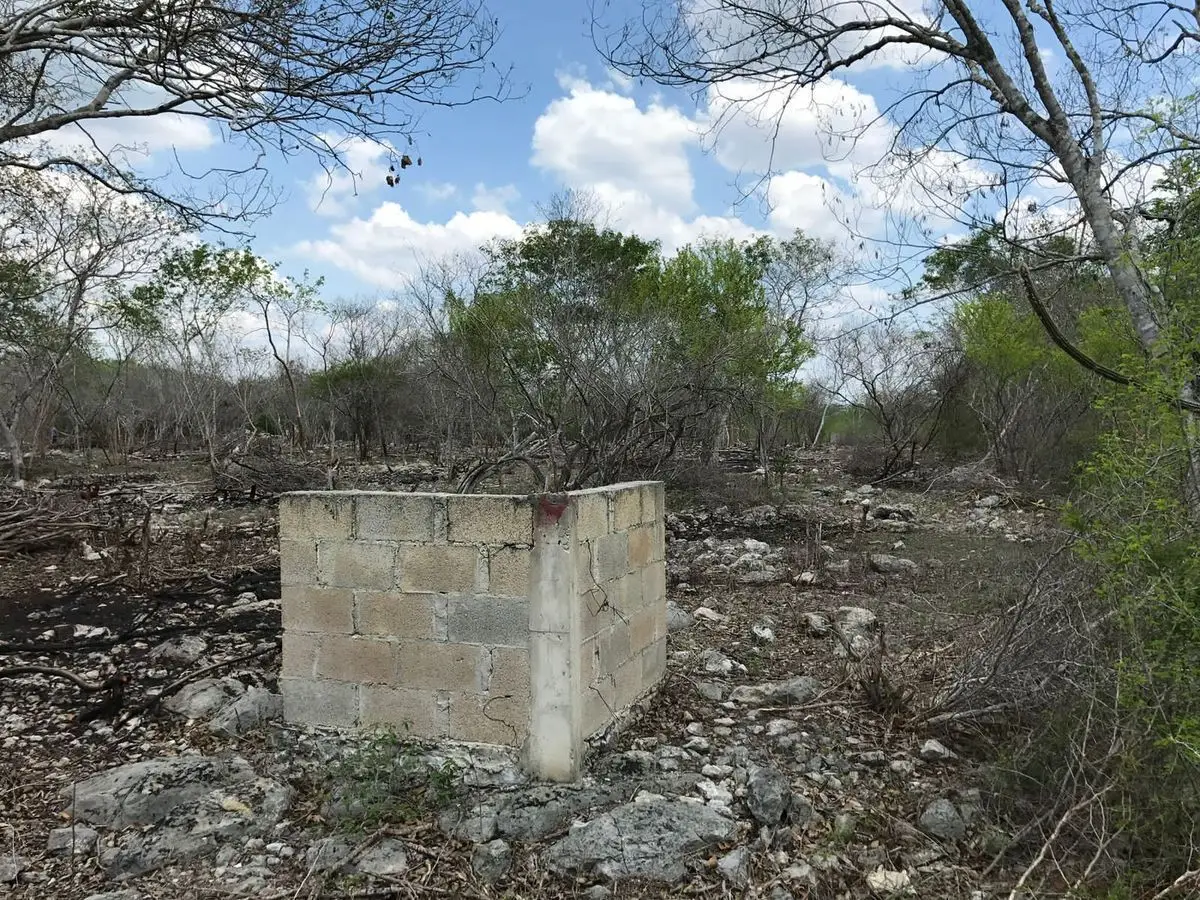 Terreno en venta de 8,000 m2 en Xcunya, Yucatán — foto 3