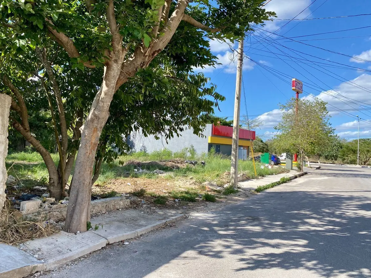 Terreno a metros de avenida y junto a OXXO en Montes de Amé, Mérida, Yucatán — foto 5