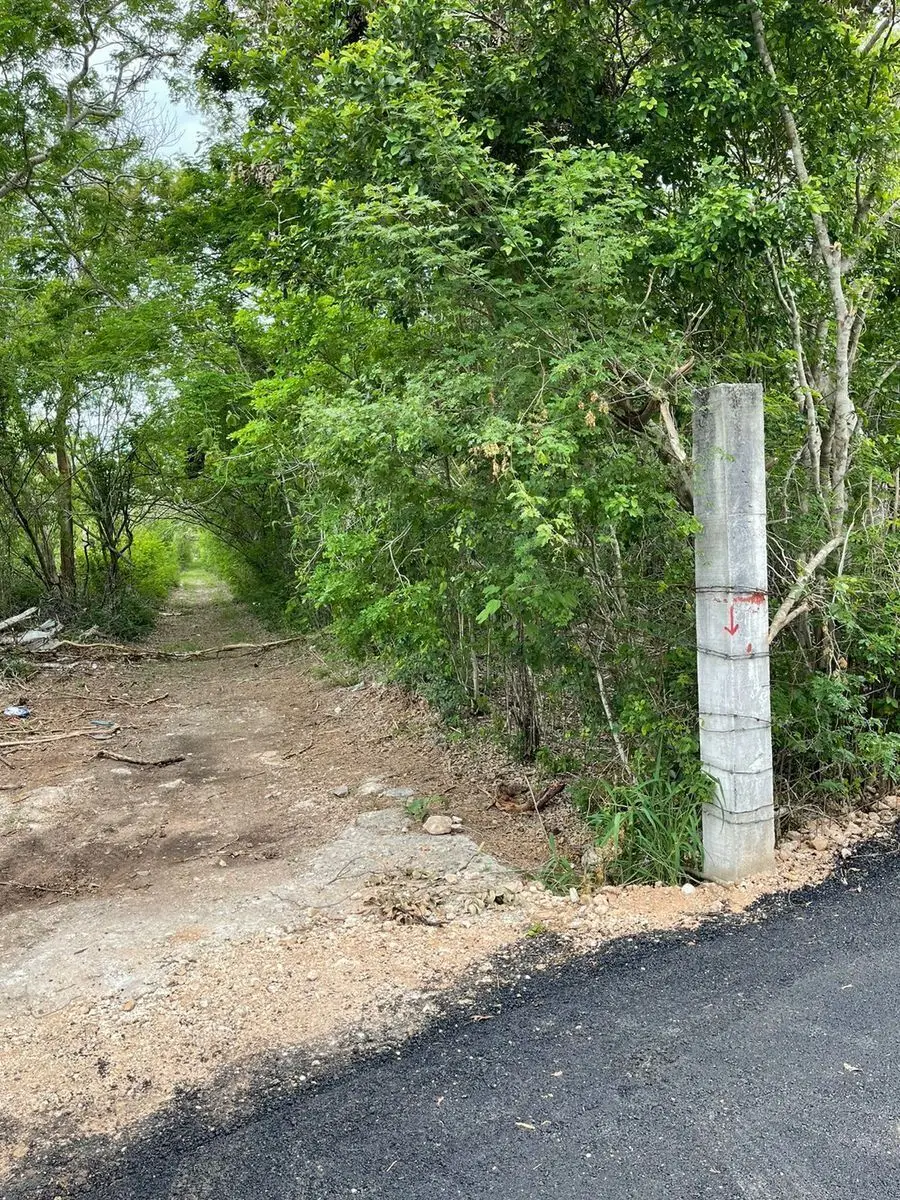 Terreno en venta al norte de Mérida en Xcunya, Yucatán — foto 3