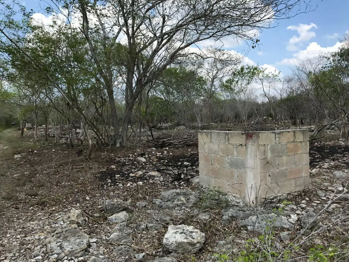 Terreno en venta al norte de Mérida en Xcunya, Yucatán — foto 4