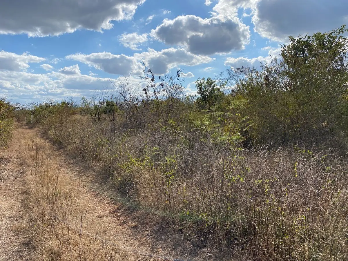 Oportunidad: Terreno en Chablekal al norte de Mérida PRECIO REDUCIDO — foto 4