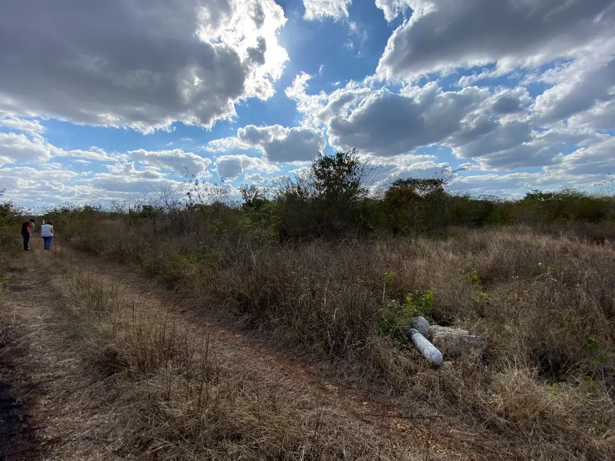 Oportunidad: Terreno en Chablekal al norte de Mérida PRECIO REDUCIDO — foto 6
