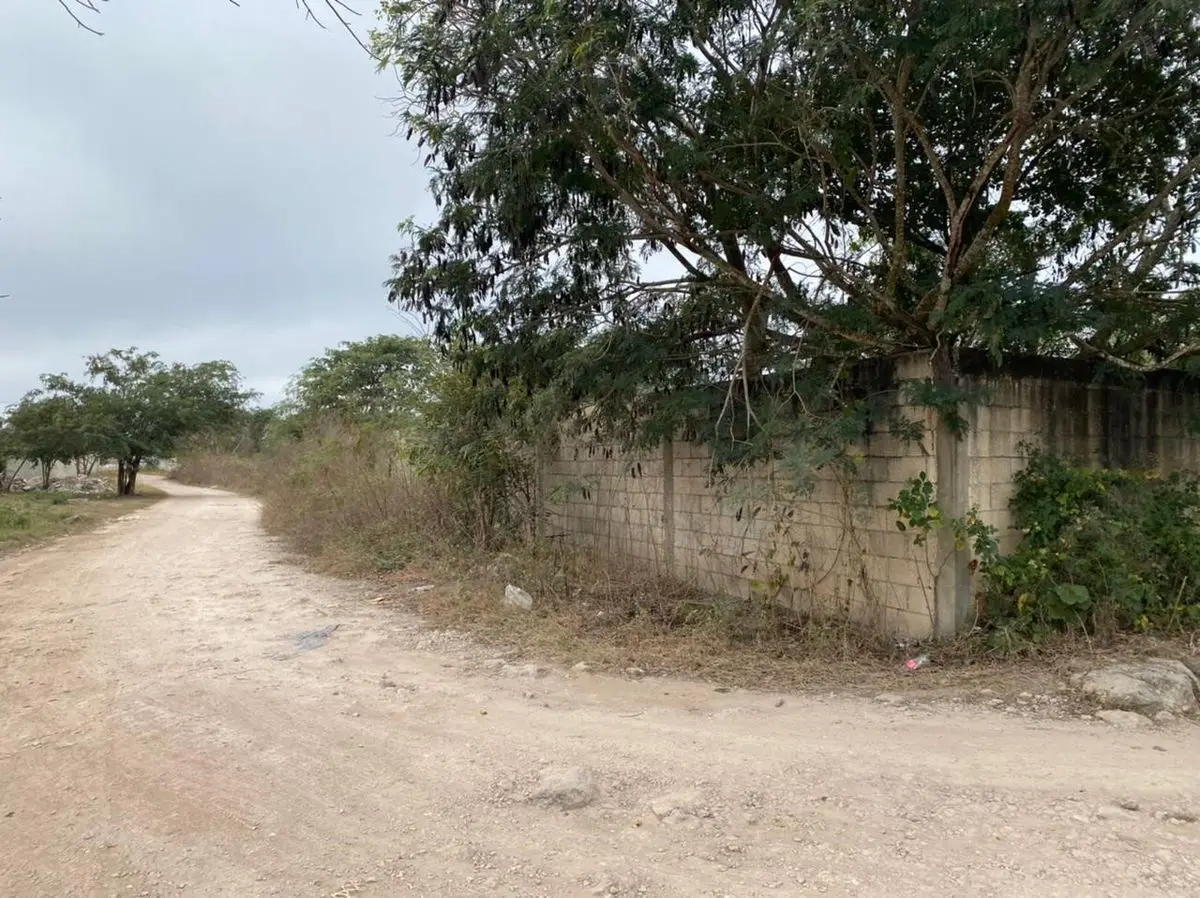 Terreno en esquina de 622.03 m2, ubicado en Dzitya — foto 3
