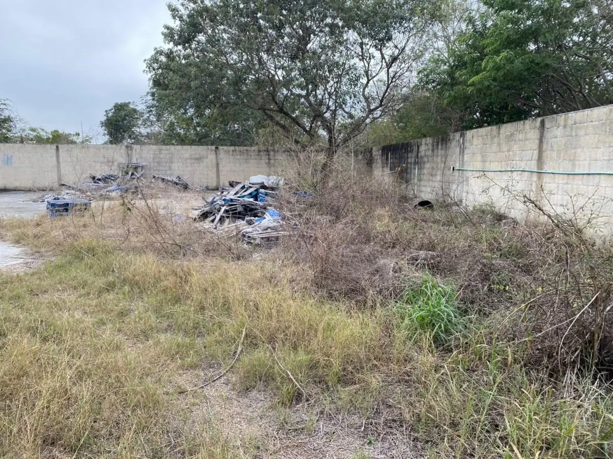 Terreno en esquina de 622.03 m2, ubicado en Dzitya — foto 4