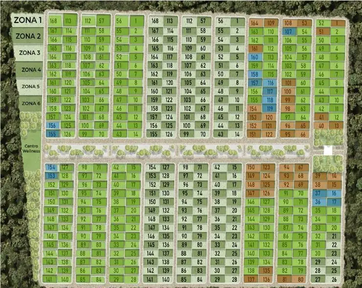 Terrenos Semi Urbanizados ubicados cerca de la costa Yucateca — foto 3