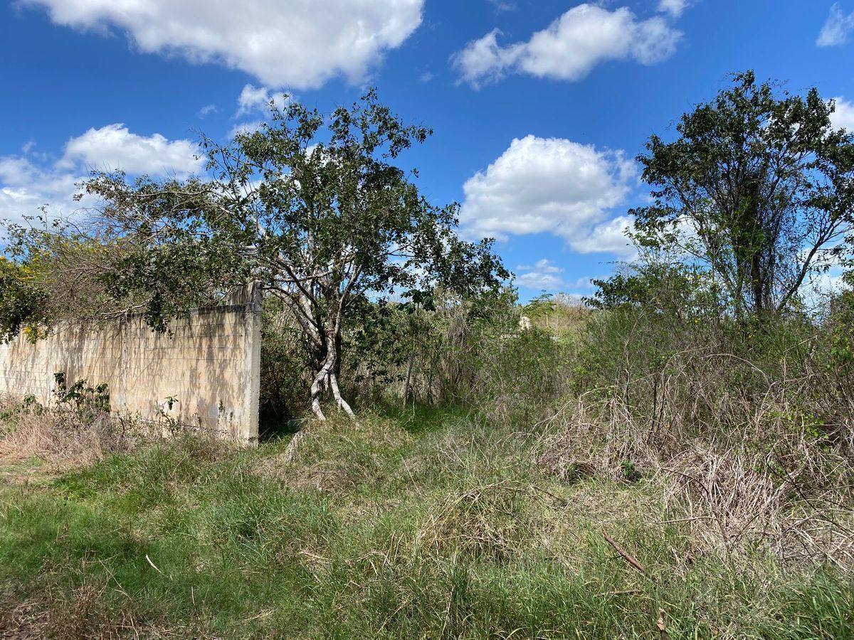 Terreno en venta, Cholul, ideal para construir privada! — foto 4
