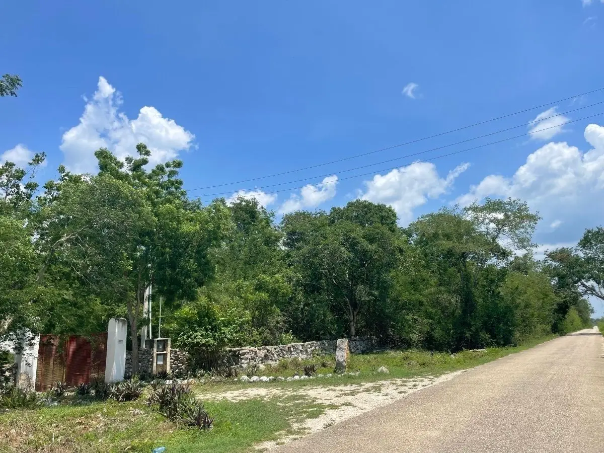 Hermosa Finca de 114 hectáreas en venta cerca de Mérida