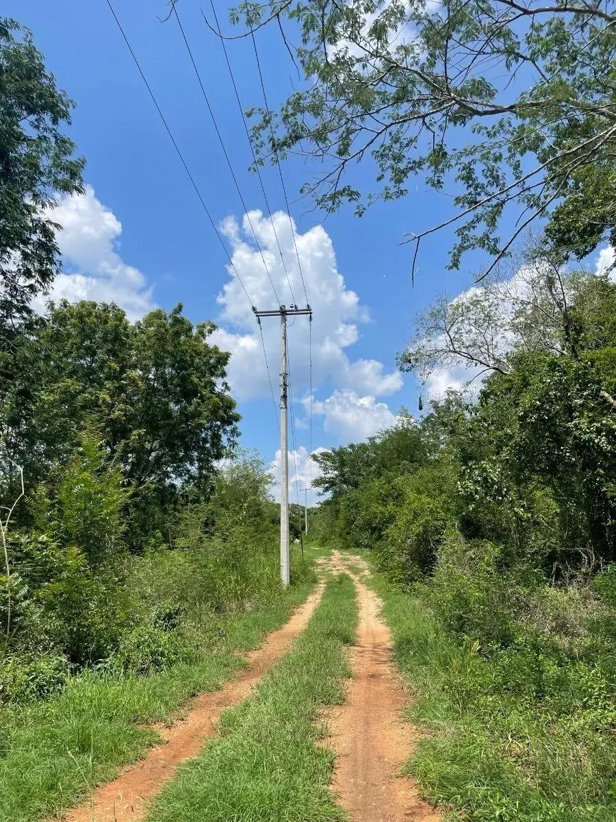 Hermosa Finca de 114 hectáreas en venta cerca de Mérida — foto 4