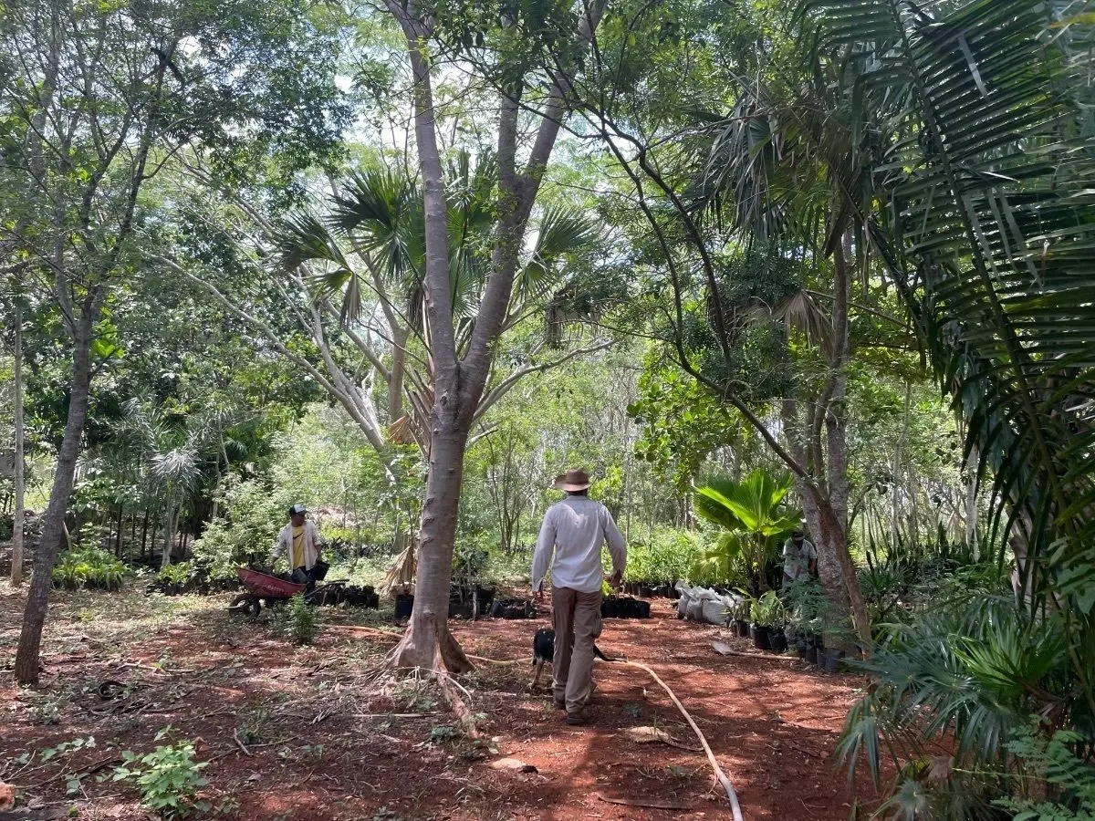 Hermosa Finca de 114 hectáreas en venta cerca de Mérida — foto 5