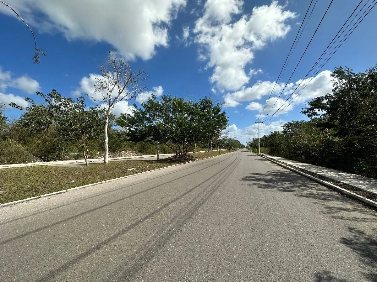 Terrenos en venta sobre avenida URBANIZADOS — foto 3