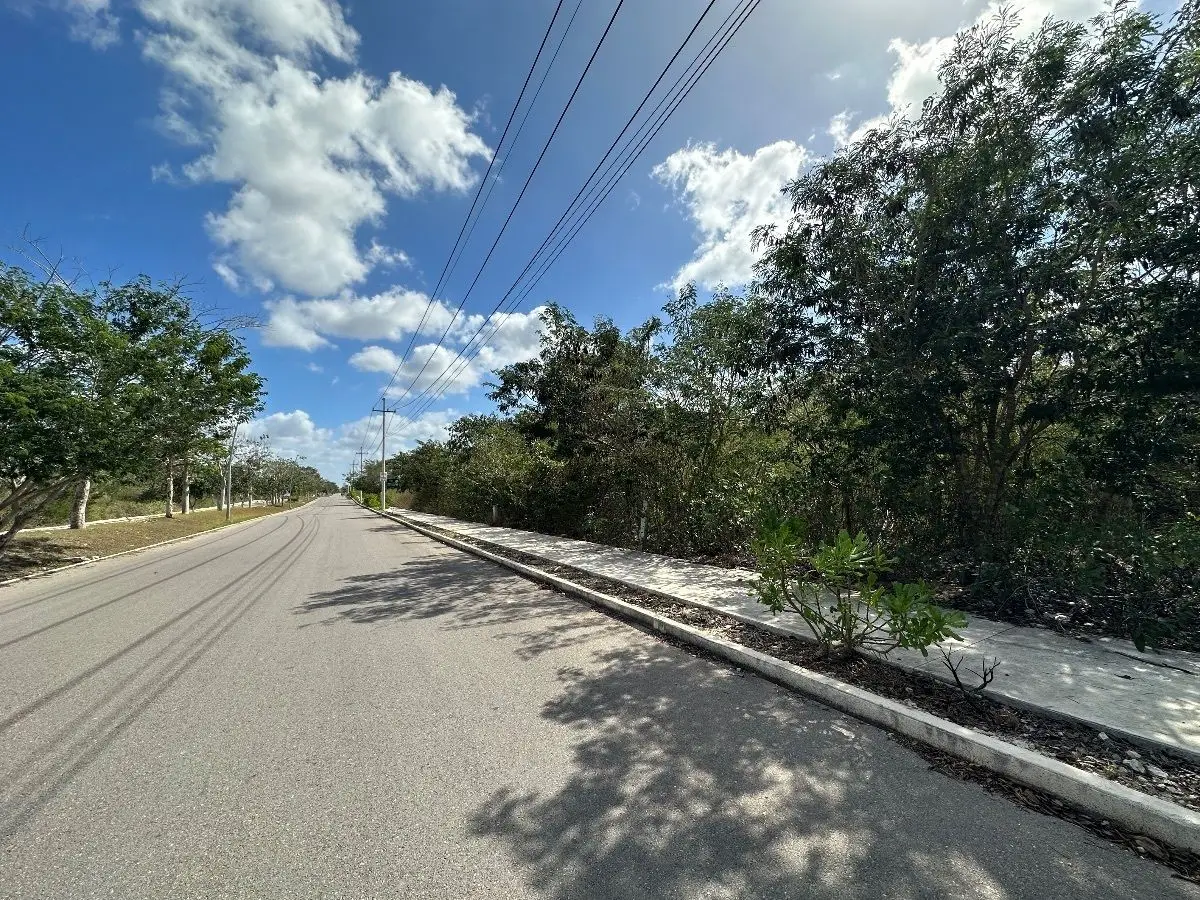 Terrenos en venta sobre avenida URBANIZADOS — foto 4