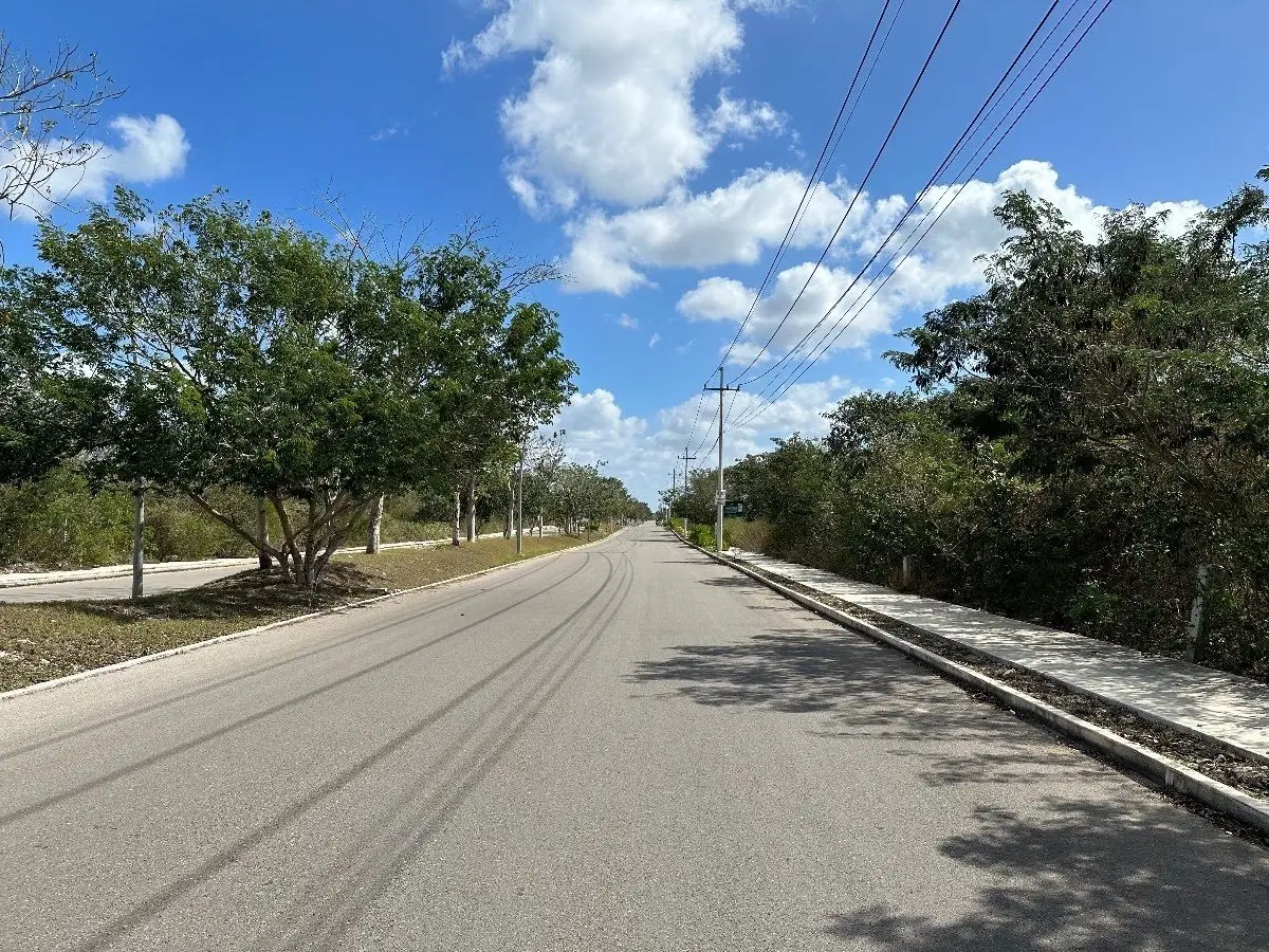 Terrenos en venta sobre avenida URBANIZADOS — foto 5