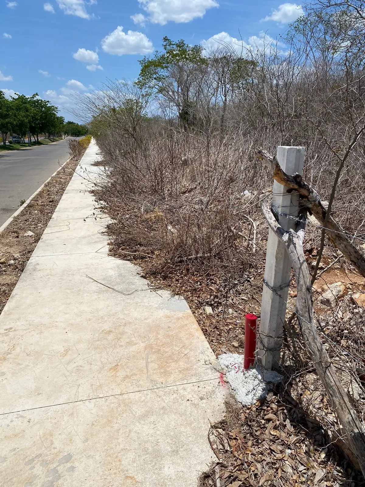 Terrenos en venta sobre avenida URBANIZADOS — foto 6