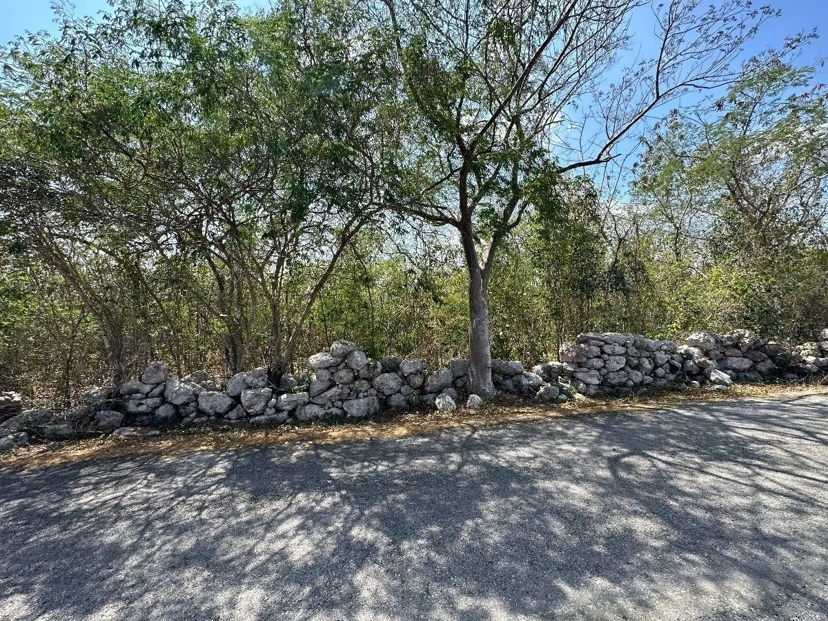 Terreno en SUYTUNCHEN, Mérida Yucatán — foto 5