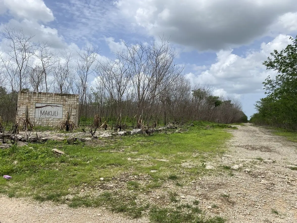 Oportunidad: Terreno en Yaxkukul a precio especial y facilidades de pago. — foto 2