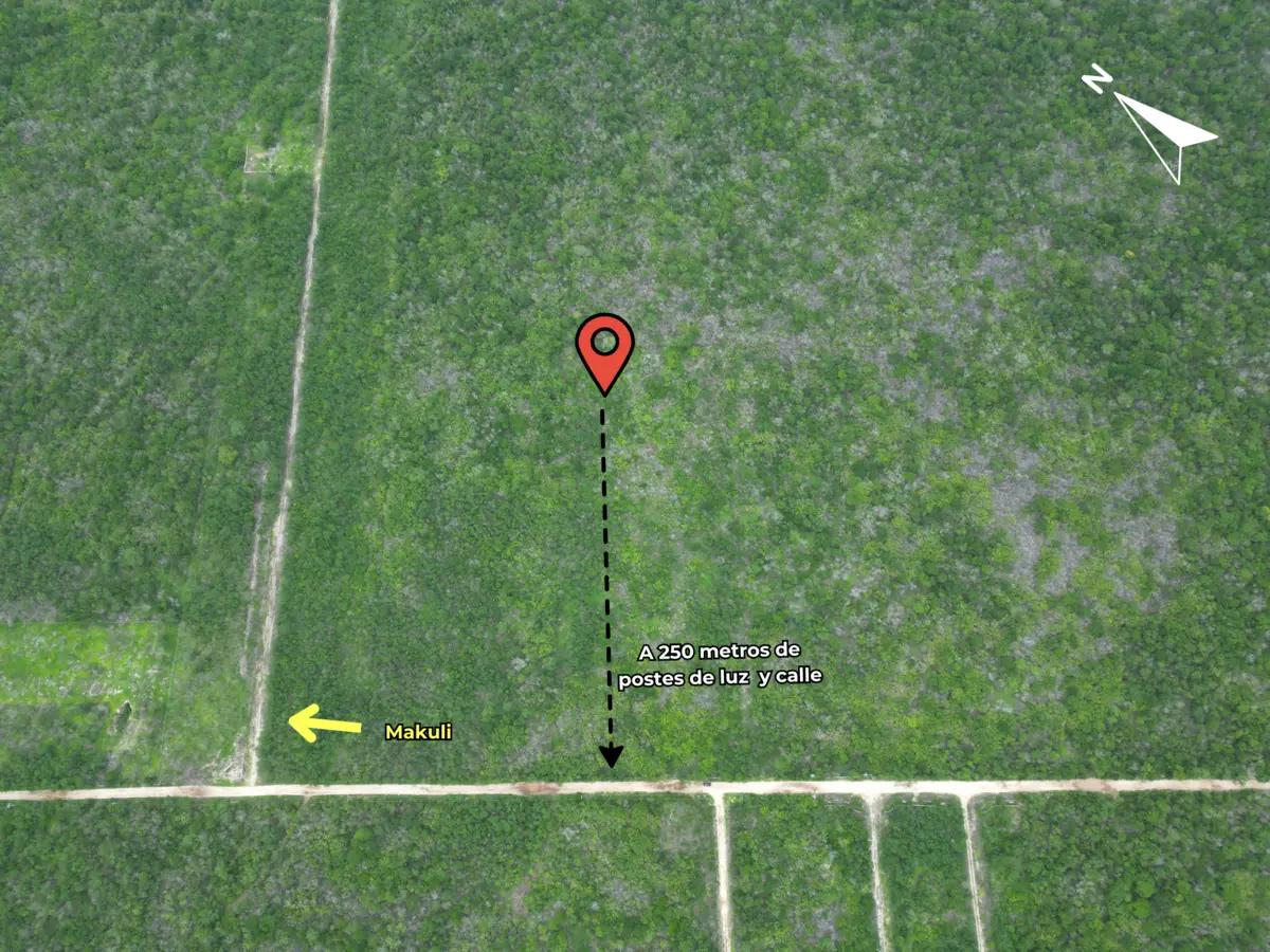 Oportunidad: Terreno en Yaxkukul a precio especial y facilidades de pago. — foto 4