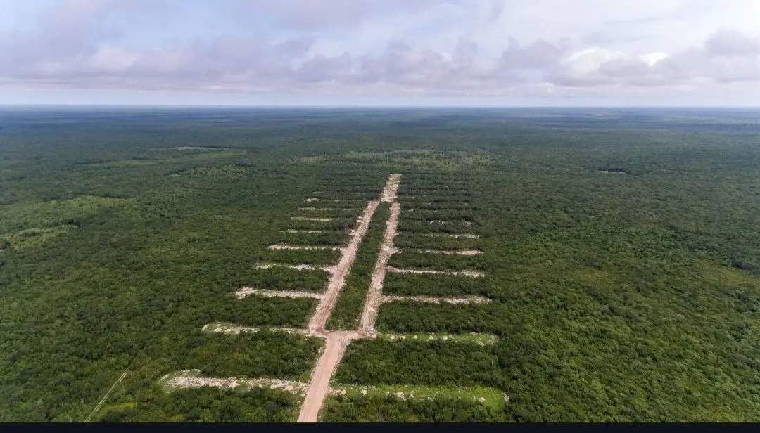 Lotes residenciales cerca de las playas de Yucatán