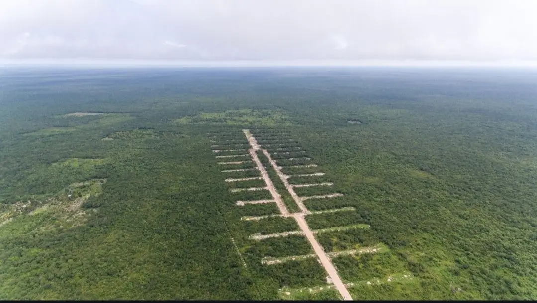 Lotes residenciales cerca de las playas de Yucatán — foto 2