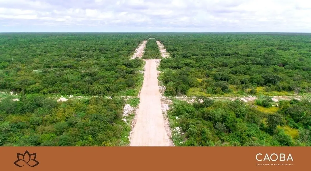 Lotes residenciales cerca de las playas de Yucatán — foto 4