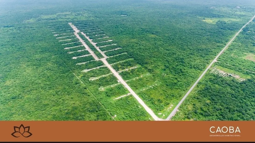Lotes residenciales cerca de las playas de Yucatán — foto 5