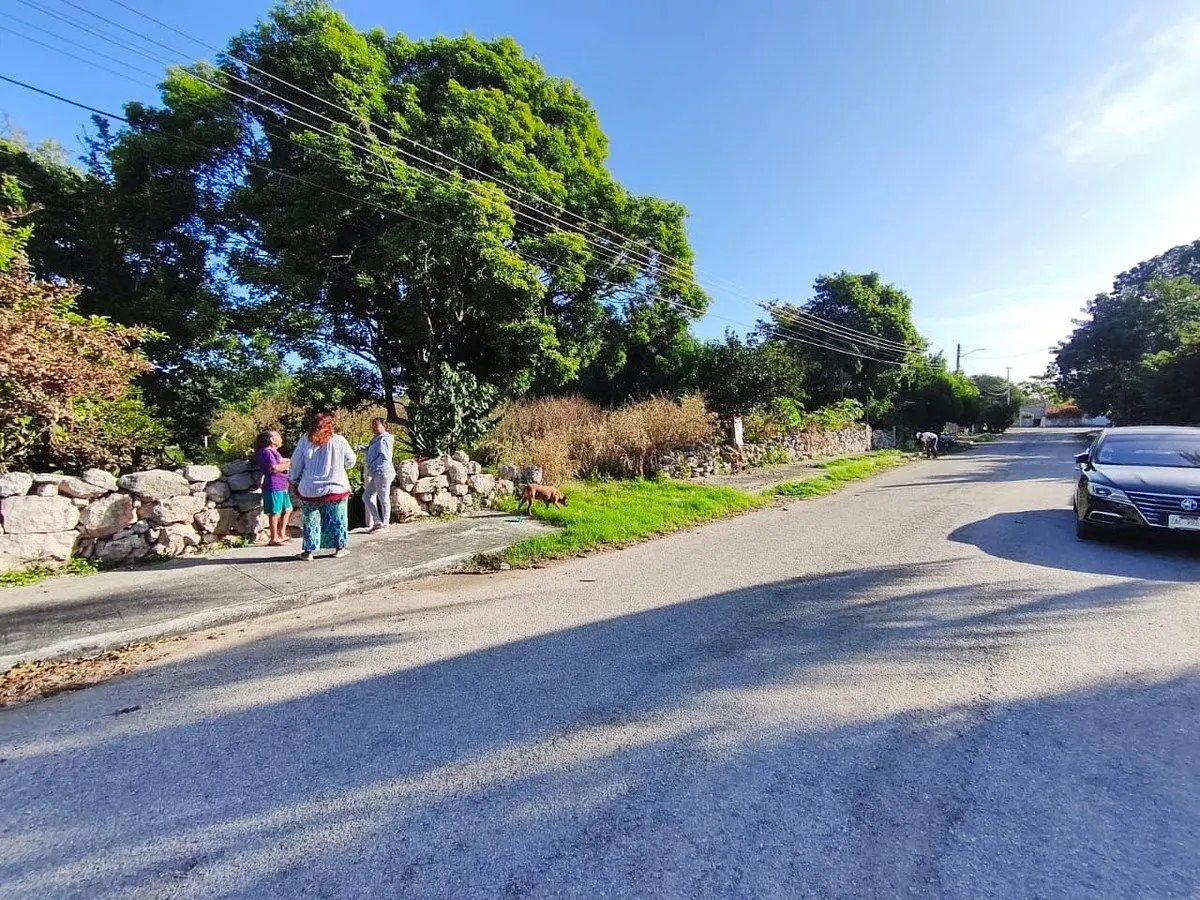 Terreno en el Pueblo mágico de Motul — foto 2