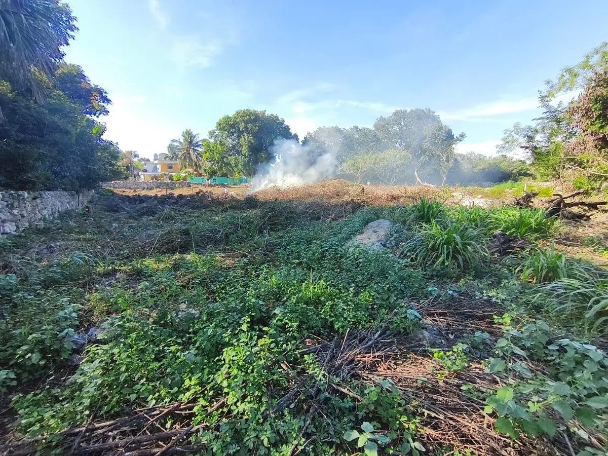 Terreno en el Pueblo mágico de Motul — foto 3
