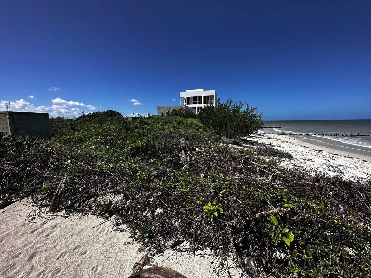 Terreno frente al mar en venta en Chuburná. 20 metros lineales — foto 5
