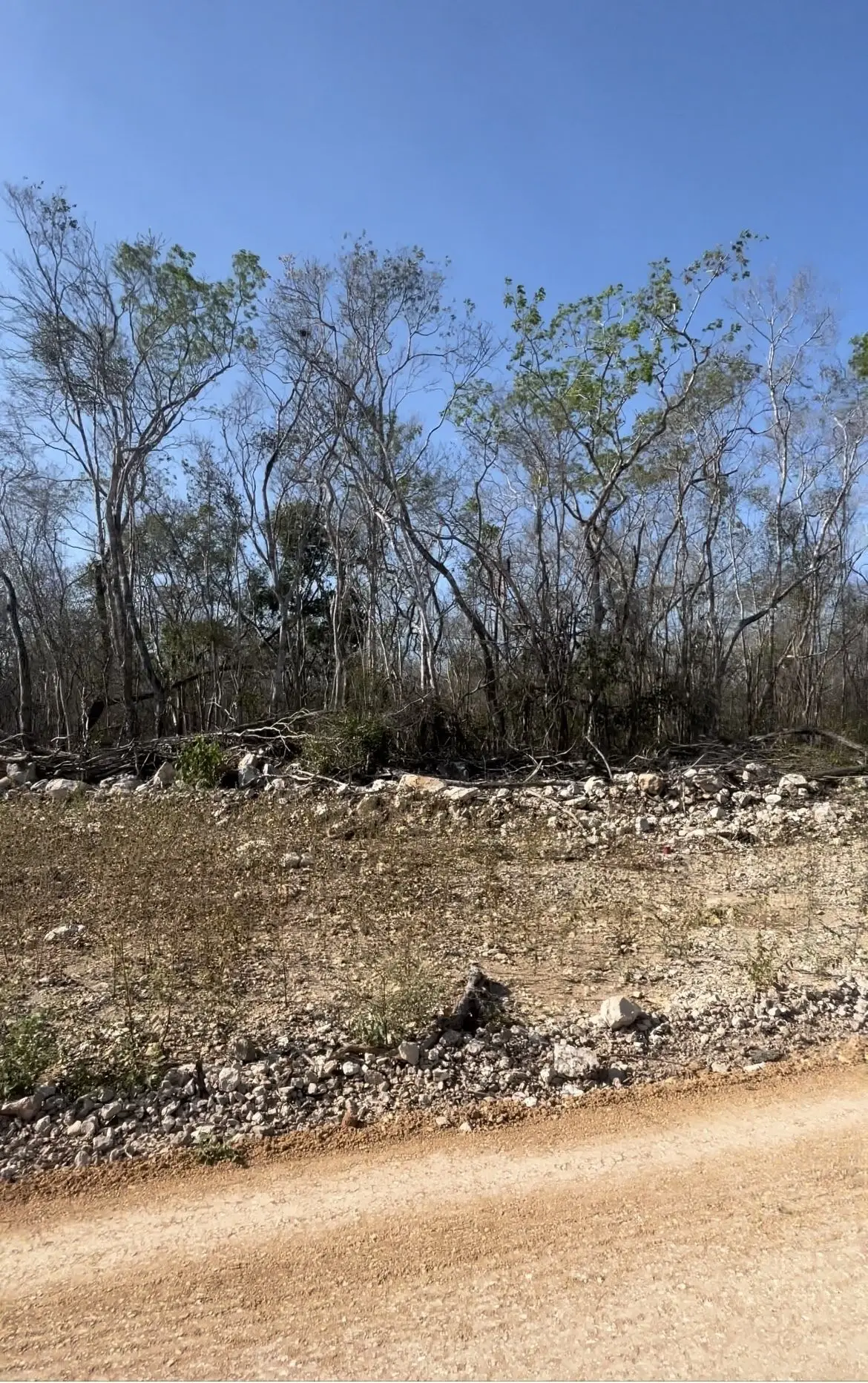 Terreno en Venta en Celestun! — foto 2