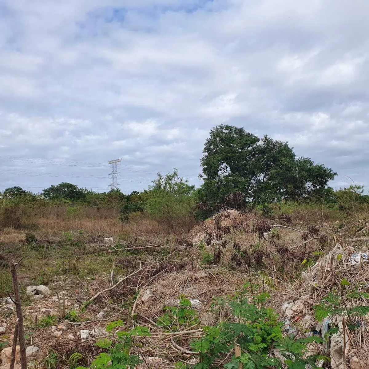 Terreno de oportunidad en Temozón Norte en Mérida, Yucatan — foto 3