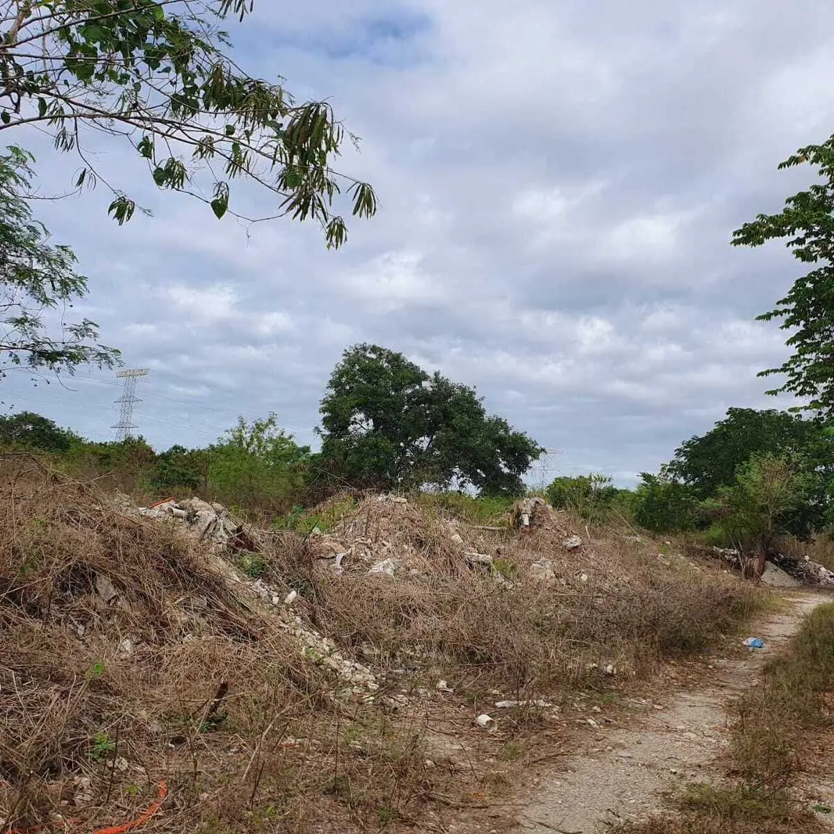 Terreno de oportunidad en Temozón Norte en Mérida, Yucatan — foto 5