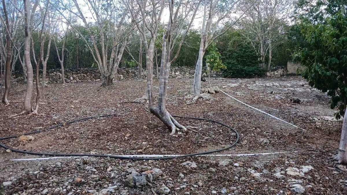 Lote residencial en zona country de Mérida Yucatán — foto 2