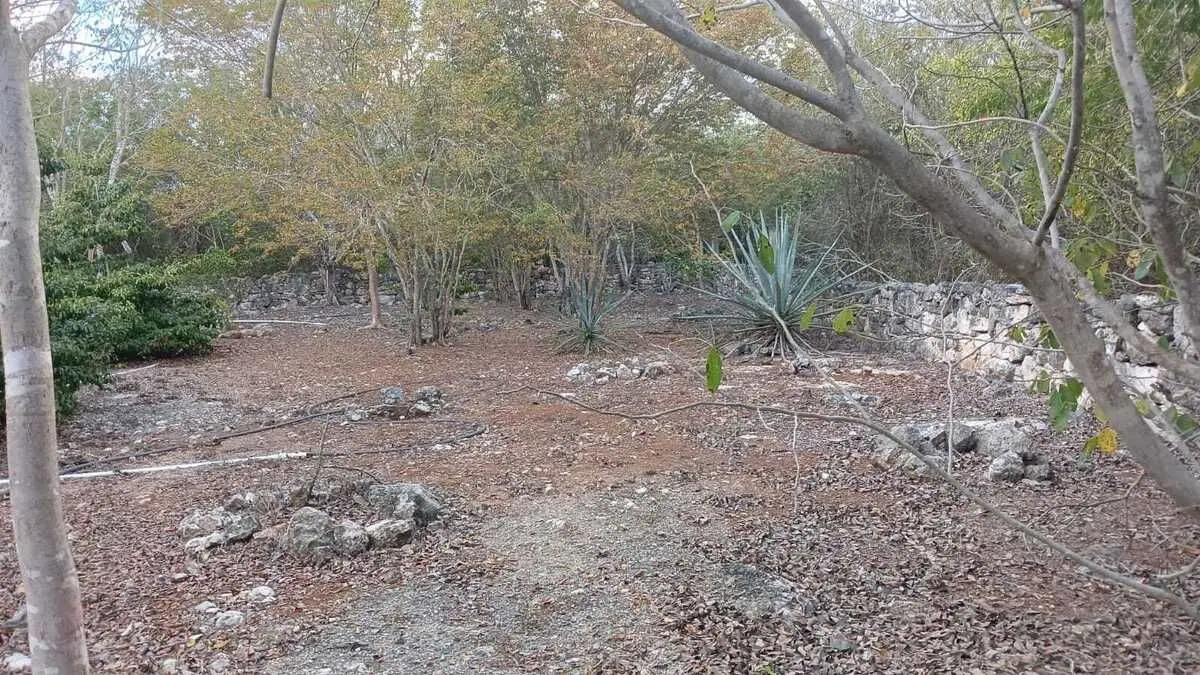 Lote residencial en zona country de Mérida Yucatán — foto 3