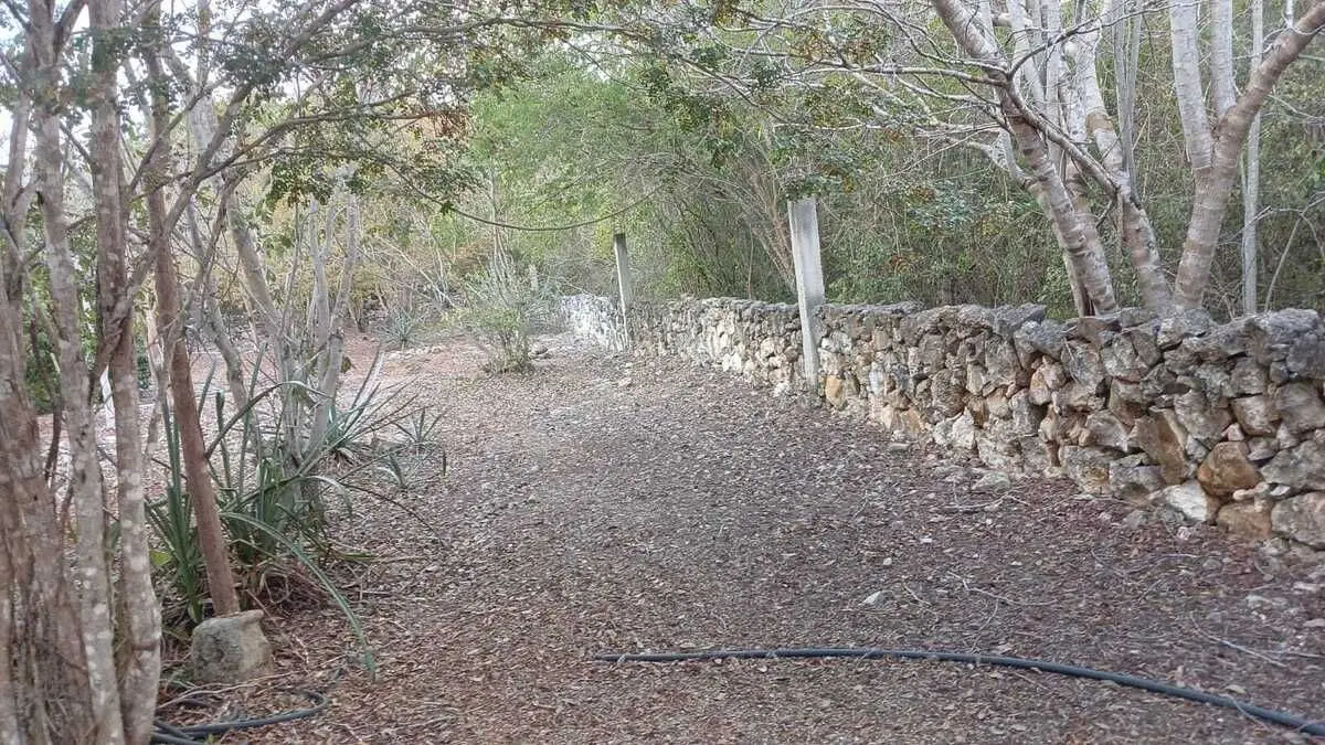 Lote residencial en zona country de Mérida Yucatán — foto 4