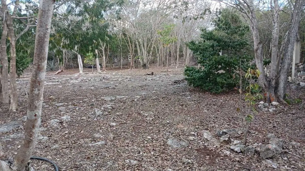 Lote residencial en zona country de Mérida Yucatán — foto 5