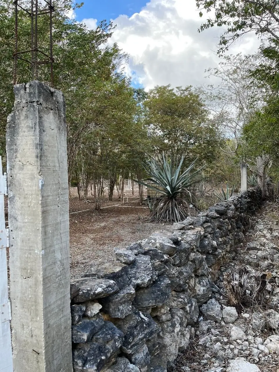 Lote residencial zona country La ceiba II al norte de Mérida Yucatán — foto 2