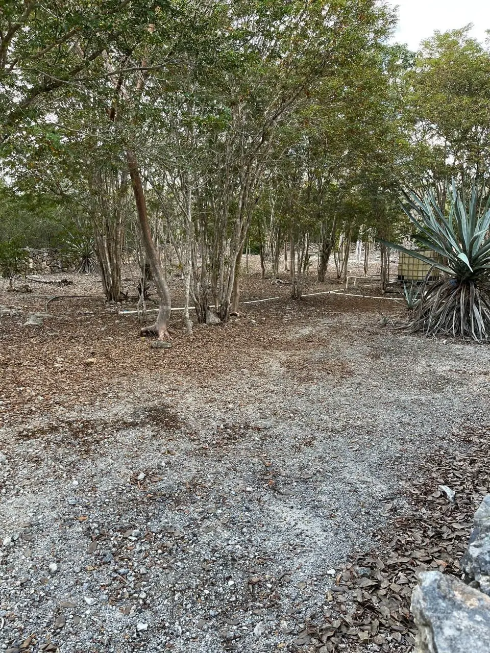 Lote residencial zona country La ceiba II al norte de Mérida Yucatán — foto 3