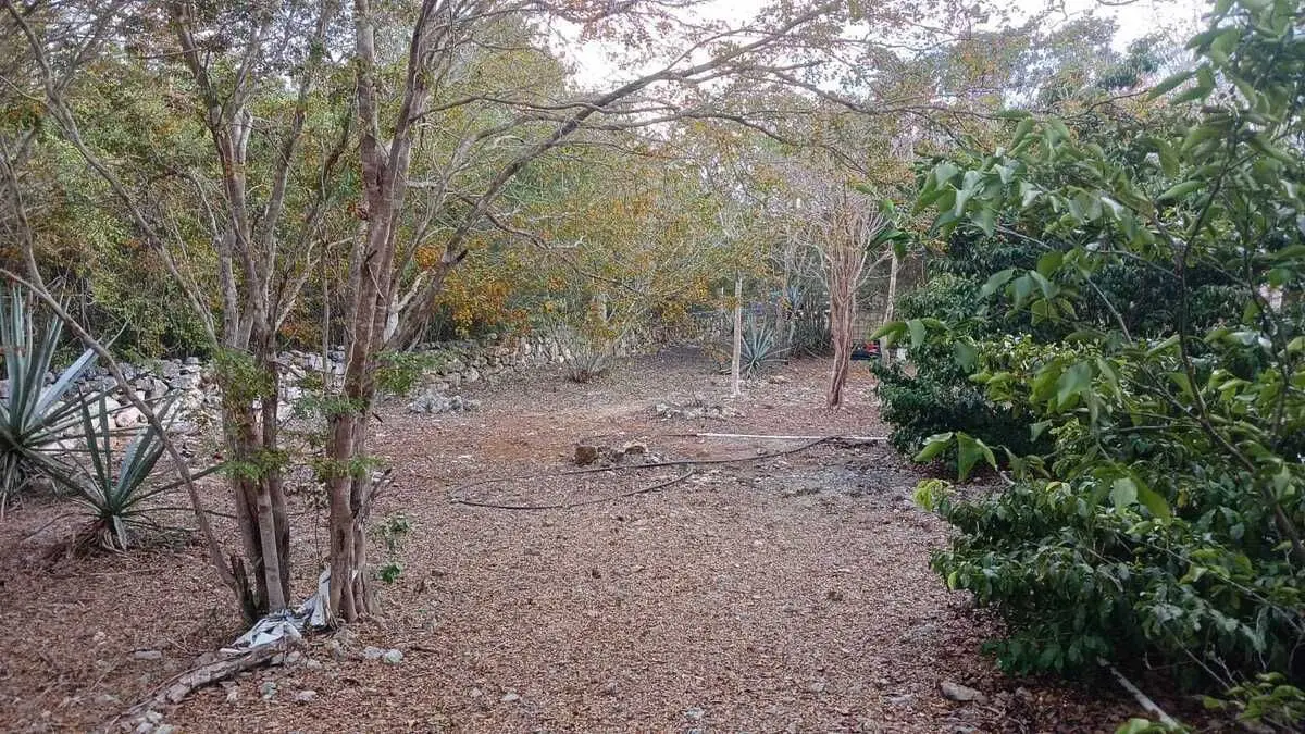 Lote residencial zona country La ceiba II al norte de Mérida Yucatán — foto 4