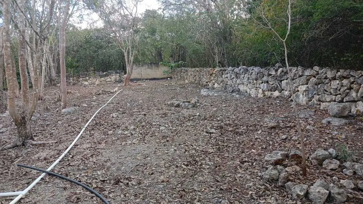 Lote residencial zona country La ceiba II al norte de Mérida Yucatán — foto 6