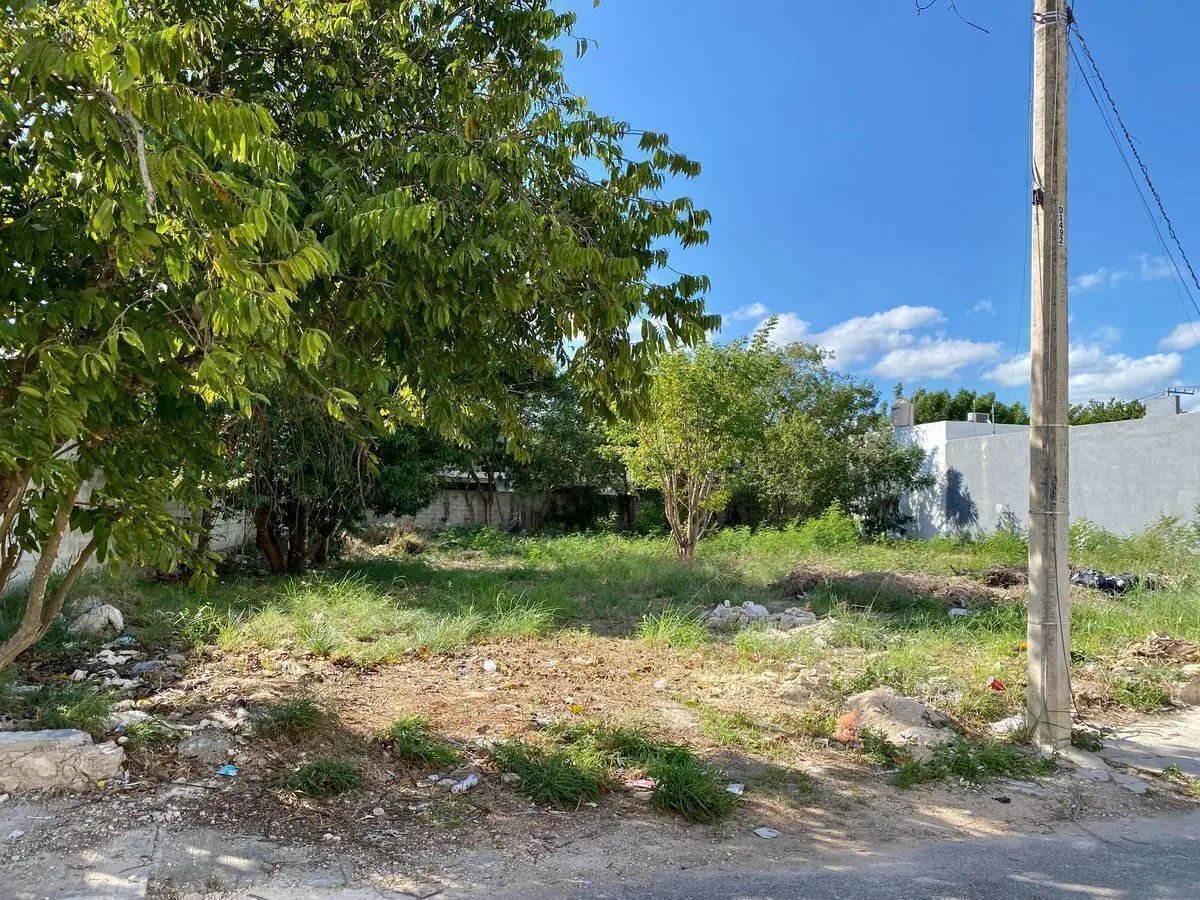Terreno en venta ubicado en Montes de Ame, Mérida — foto 6