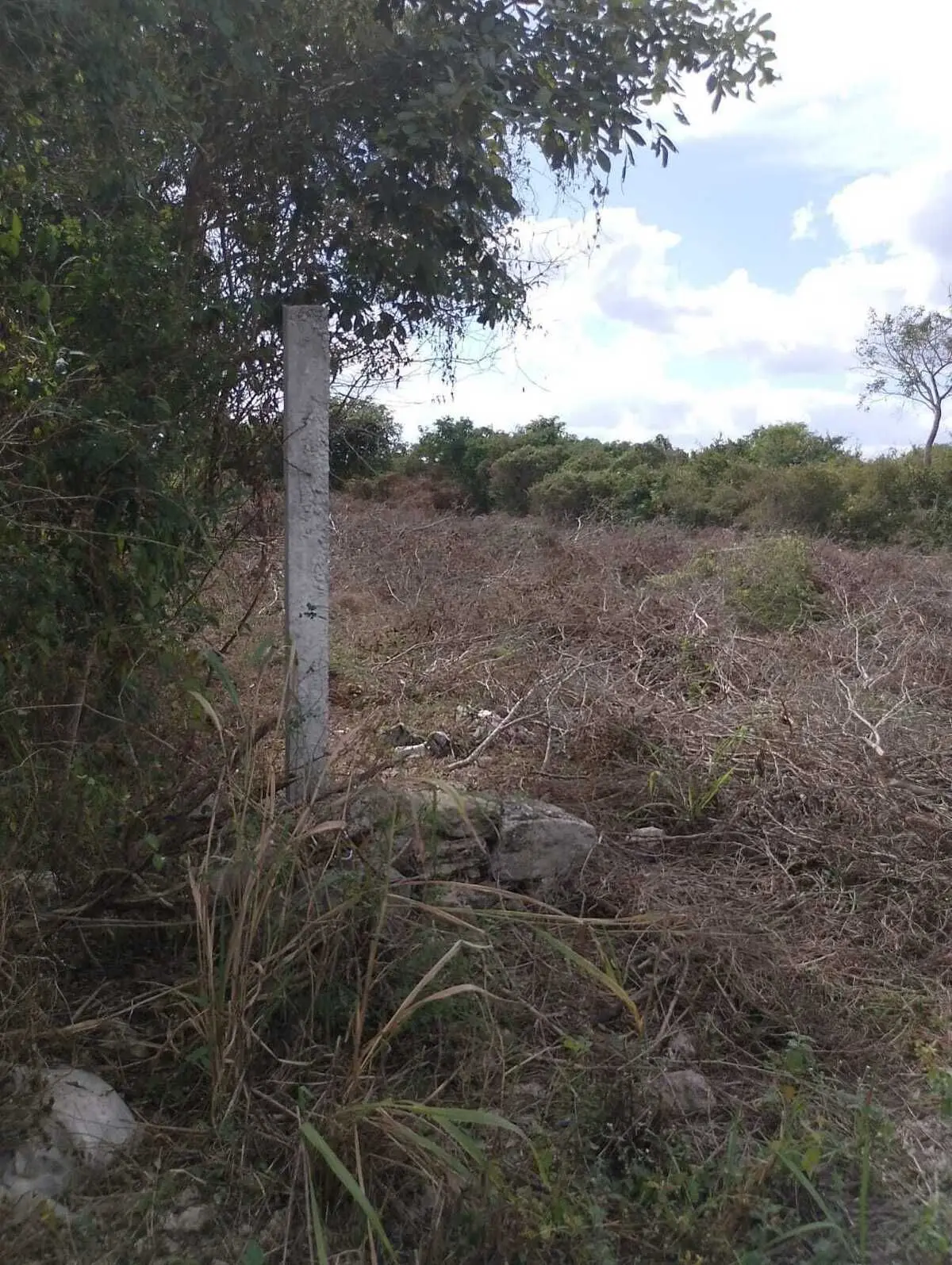 Terreno en venta de oportunidad al norte de Mérida Yucatán — foto 3