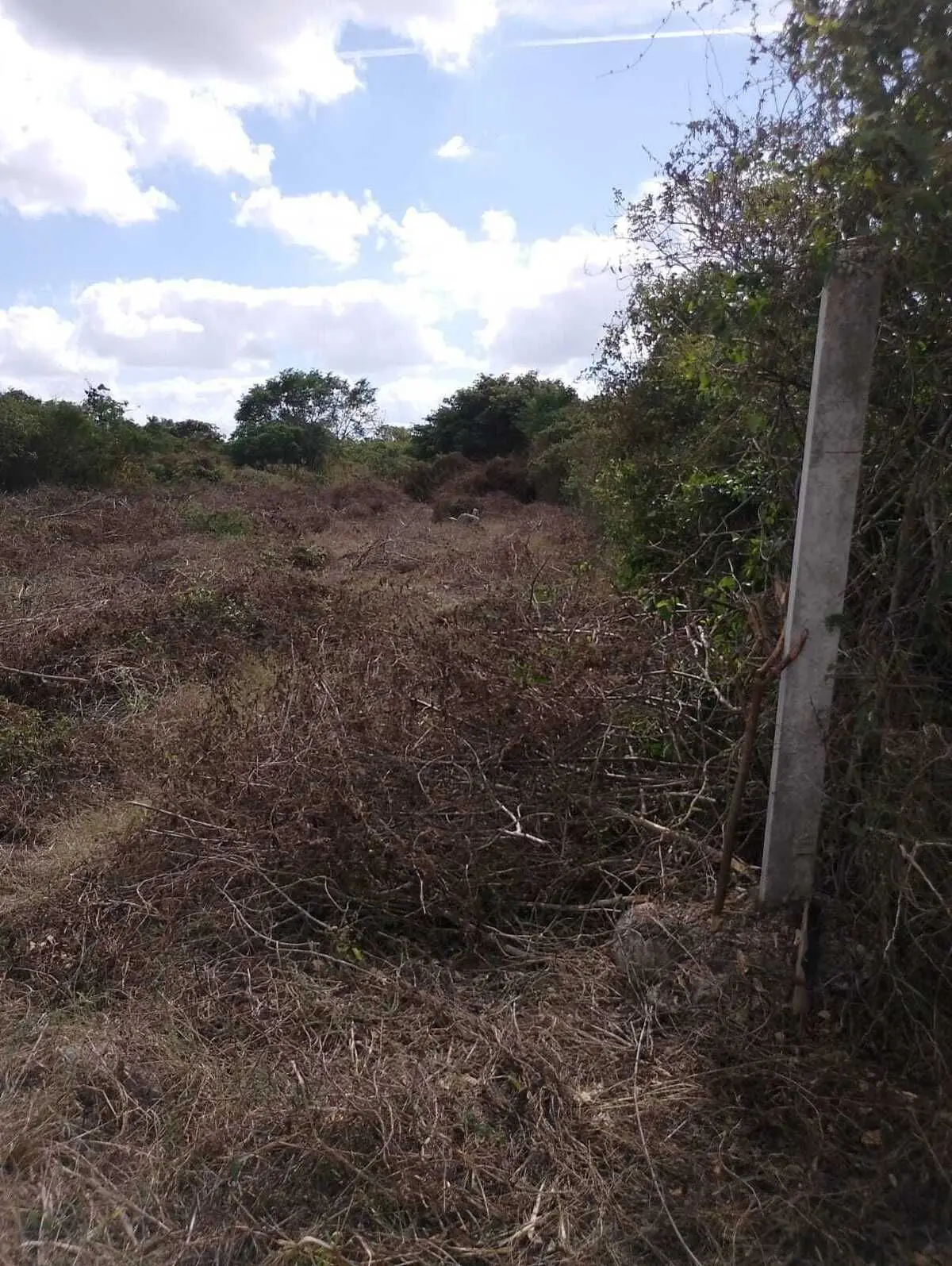 Terreno en venta de oportunidad al norte de Mérida Yucatán — foto 4