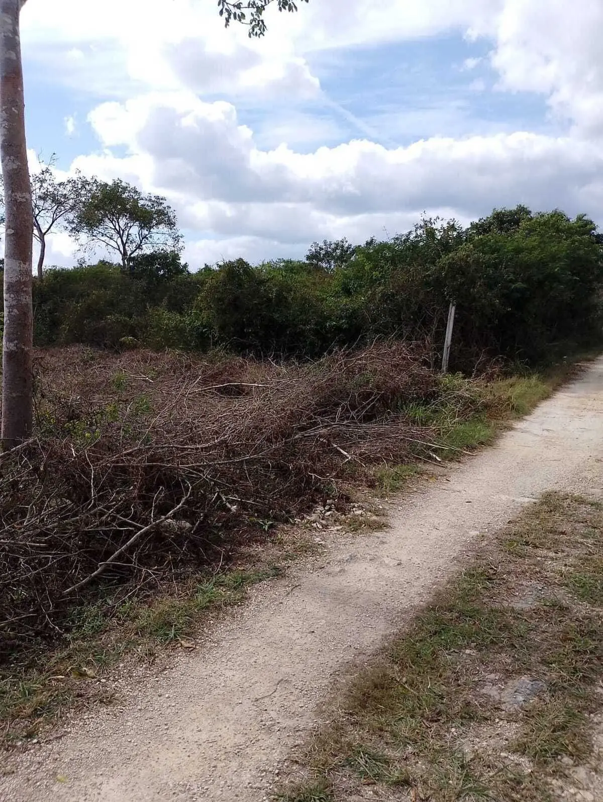 Terreno en venta de oportunidad al norte de Mérida Yucatán — foto 5