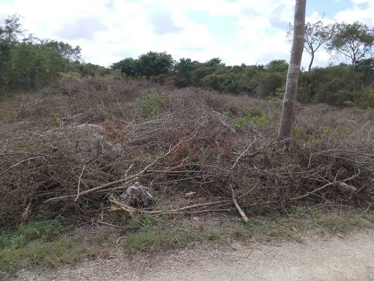 Terreno en venta de oportunidad al norte de Mérida Yucatán — foto 6