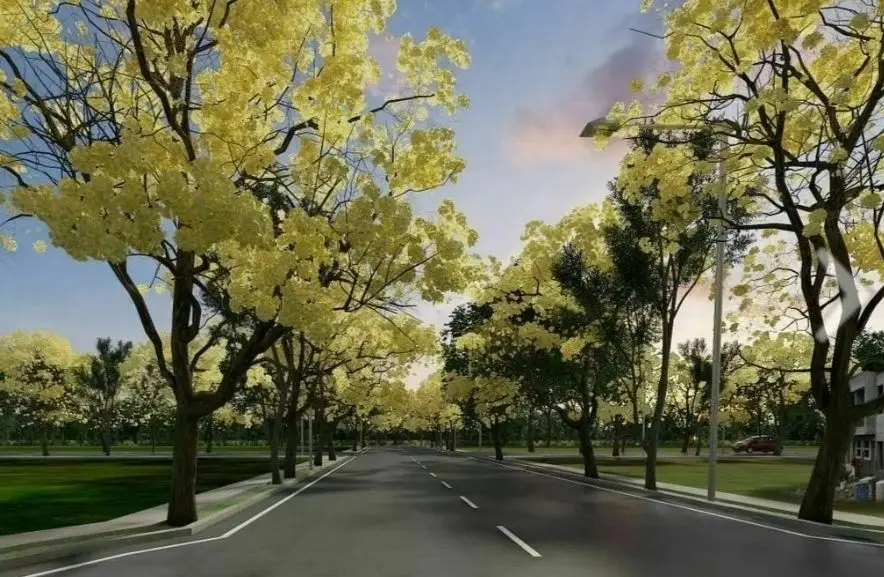 Lotes en privada Las Nuves residencial Campestre al note de Mérida Yucatan — foto 3